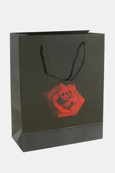 20*25 Gül İpli Karton Çanta 1 Adet