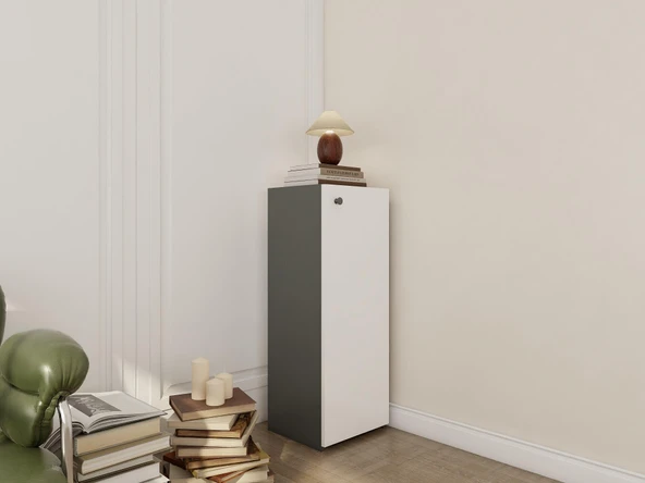 1 Kapaklı Çok Amaçlı Dolap Koyugri - Resim 2