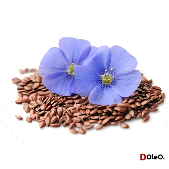 Keten Tohumu Yağı - 30 mL - Resim 2