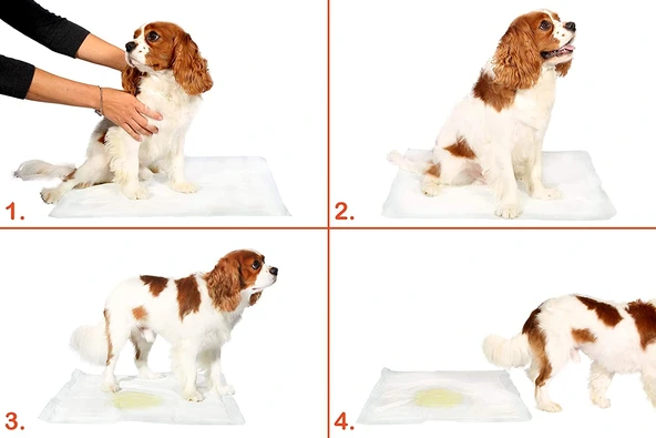 Yıkanabilir Köpek Çiş Pedi - 100 X 100 Cm 5li Paket - Resim 2