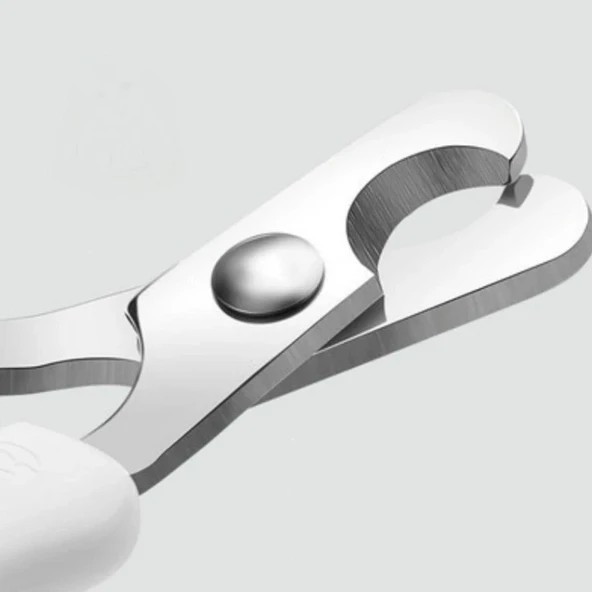 Büyük Boy Evcil Hayvan Köpek Kedi Çelik Uçlu Tırnak Makası Pati Bakım Aleti - Resim 5