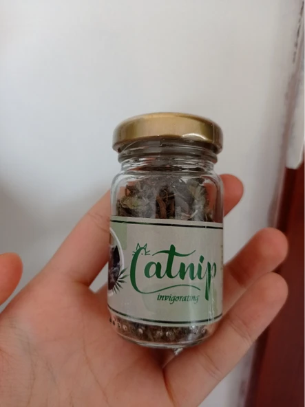 Catnip Doğal Kedi Otu - Kedi Nanesi - Resim 2