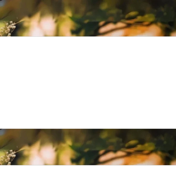 Hacamat Kupası - 3 Numara (10 Tane) - Resim 2