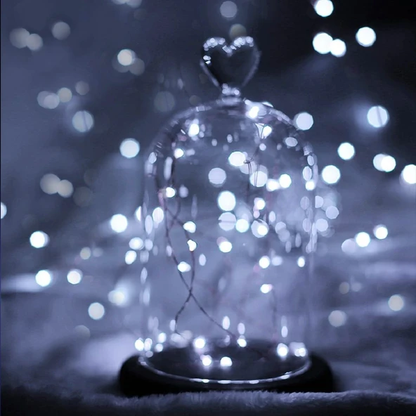 Peri Led Işık 5 Metre Beyaz  Dekor Lambası 50 Ledli - Resim 4