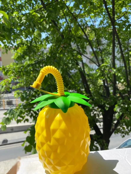 Ananas Pipetli Suluk - Resim 2