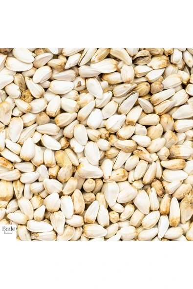 200 Gram - Omega 6 Kaynağı Aspir Tohumu - (Tavuk - Güvercin ve Papağanlarınız İçin) - Resim 2