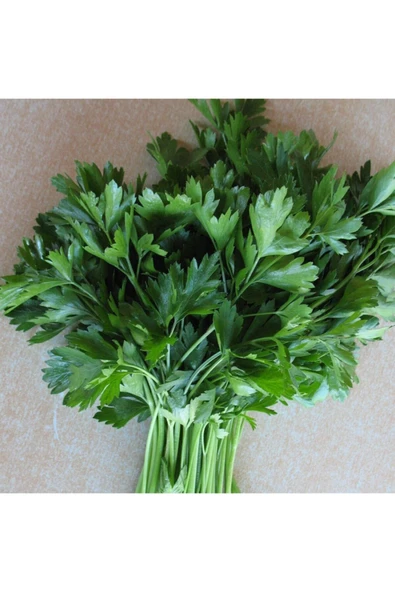 Maydonoz 25 Gram Tohum ürün görseli 1