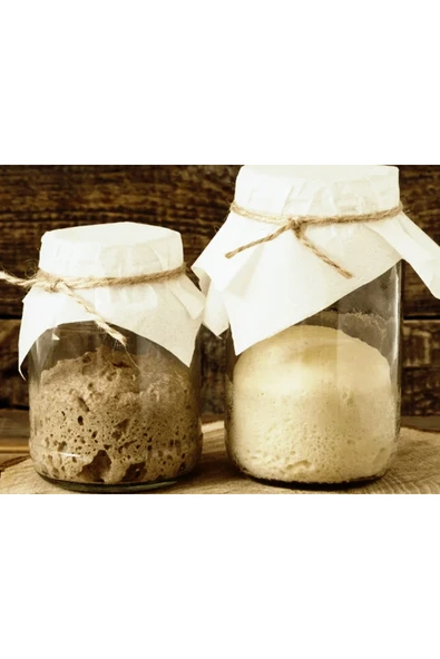 seren kitchen Organik Ekşi Hamur Mayası 5 Yıllık Aktif - 100 gram - Resim 2