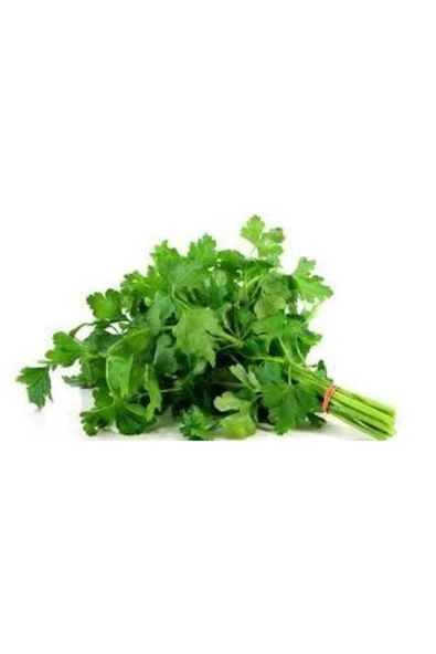 50 Adet Tohum Geniş Yaprak Maydanoz Maydonoz Tohumu Sürpriz Hediye Sebze Tohumu - Resim 2