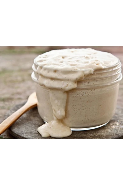 seren kitchen MayaDiyarı 9 Yıllık Ekşi Maya 100 Gram - Resim 3