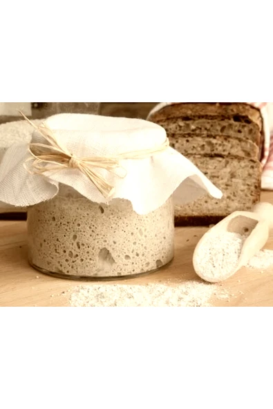 seren kitchen Organik Ekşi Hamur Mayası 5 Yıllık Aktif - 100 gram ürün görseli 1