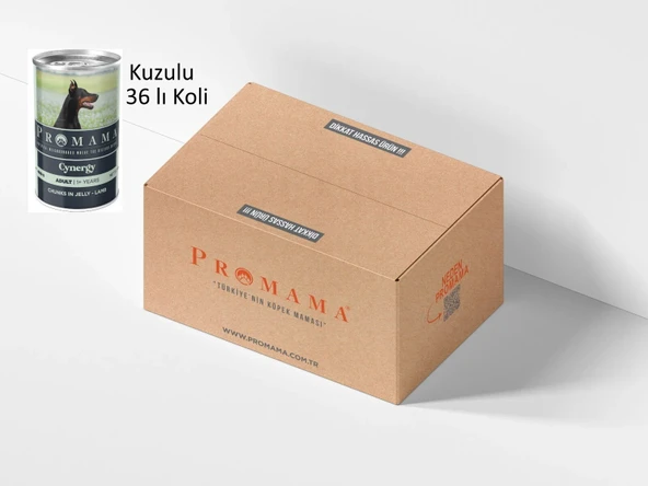 Promama Cynergy Kuzu Etli Yaş Konserve Yetişkin Köpek Maması 400 GR 36'lı Koli - Resim 3