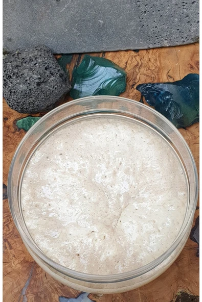 nazillidenorganik Ekşi Maya 150g ürün görseli