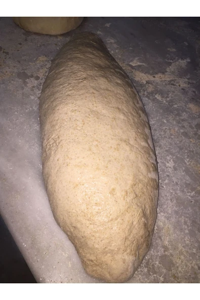 Trabzonvakfıkebirunlumamüller Değirmenden Organik Atalık Siyez Ekşi Hamur Mayası 100gr (15YILLIK) - Resim 3