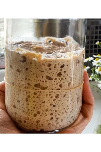 Trabzonvakfıkebirunlumamüller Değirmenden Organik Atalık Siyez Ekşi Hamur Mayası 100gr (15YILLIK) ürün görseli 1