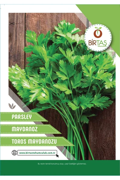 Maydonoz ürün görseli 1