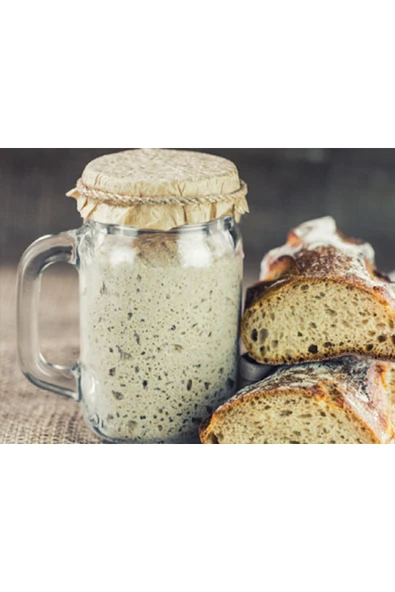 seren kitchen MayaDiyarı 9 Yıllık Ekşi Maya 100 Gram - Resim 2