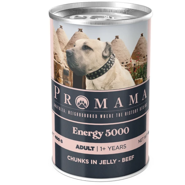 Promama Energy 5000 Yetişkin Biftekli Yaş Konserve Köpek Maması 400 GR 36'lı Koli - Resim 2