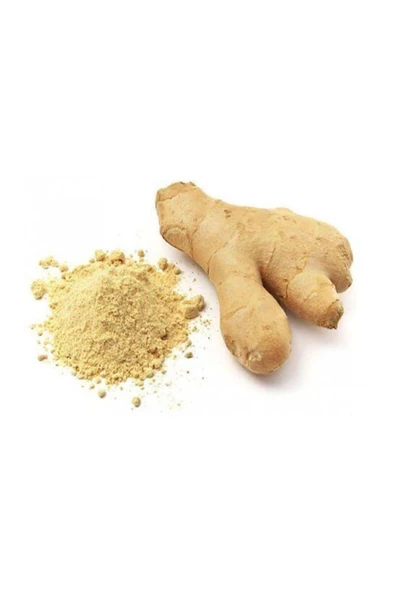 Toz Zencefil 100 gram ürün görseli