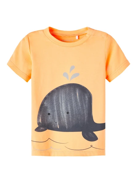 Erkek Çocuk Bisiklet Yaka T-shirt 13217607 ürün görseli 1