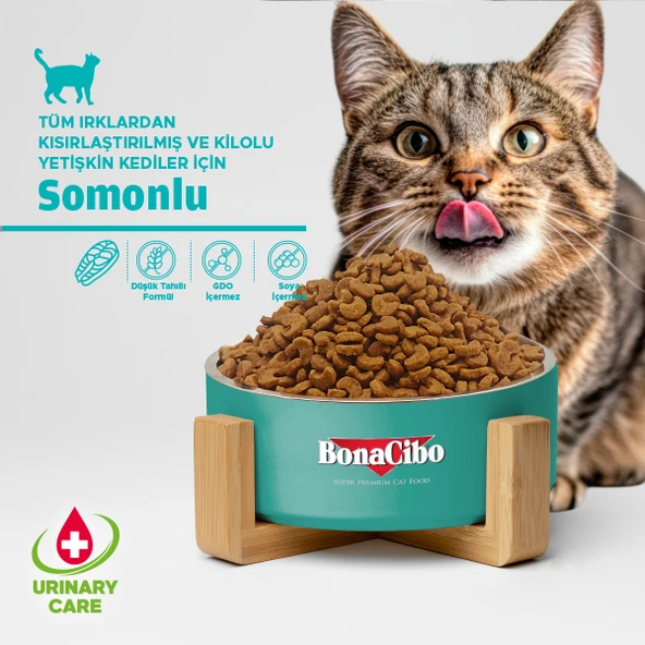 BonaCibo Adult Cat Sterilised Somonlu 2 Kg - Resim 4