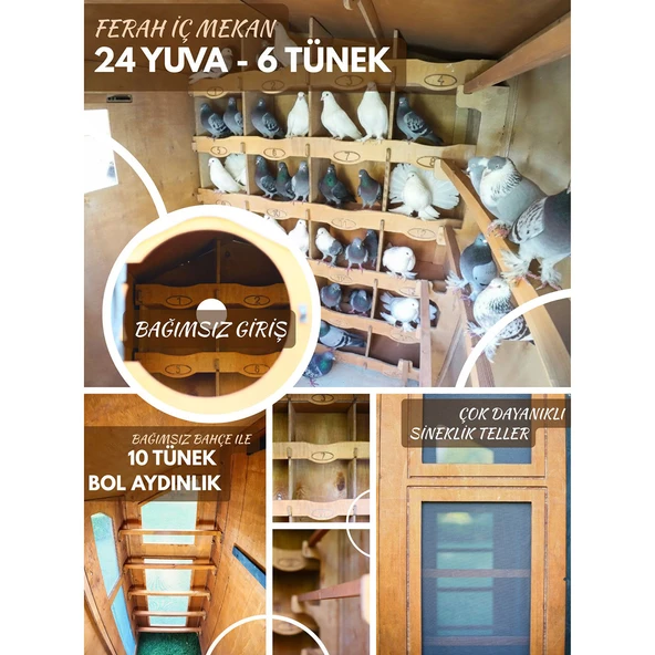 MANDU Ahşap Güvercin Kümesi - Resim 5