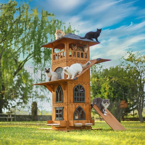 MANDU Ahşap 4 Katlı Teraslı Kedi Evi Tırmalama Mama Kaplı - Resim 5