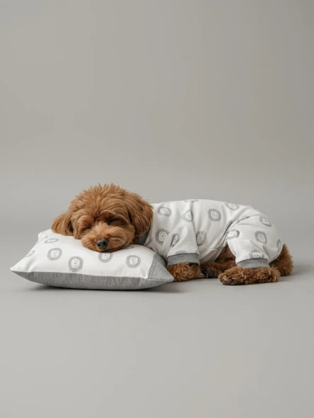 Soft Lion Köpek Uyku Takımı | Pamuklu Penye Köpek Tulumu ve Mini Yastık | Küçük Irklar İçin | Tüy Dökülmesini Azaltır ürün görseli