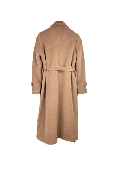 1214 BERİN KABAN ANGORA - Resim 3