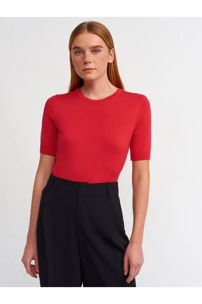 10426 DİLVİN KAZAK BİSİKLET YAKA ARKASI DÜĞMELİ KISA - Resim 9