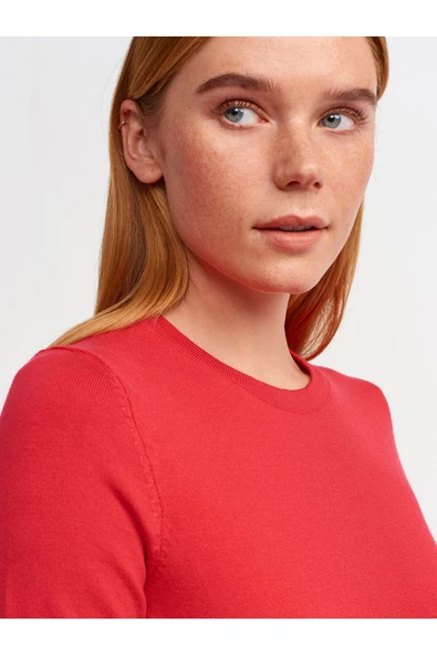 10426 DİLVİN KAZAK BİSİKLET YAKA ARKASI DÜĞMELİ KISA - Resim 12