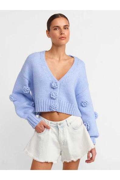 60216 DİLVİN V YAKA EL İŞİ GÜL NAKIŞLI ÇITÇITLI BALON TRİKO HIRKA ürün görseli