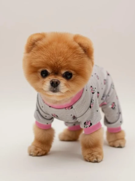 Minnie Köpek Tulumu | Pamuklu Penye Köpek Pijaması | Gri Pembe Desenli | Tüy Dökülmesini Azaltır | Küçük Irklar İçin - Resim 5