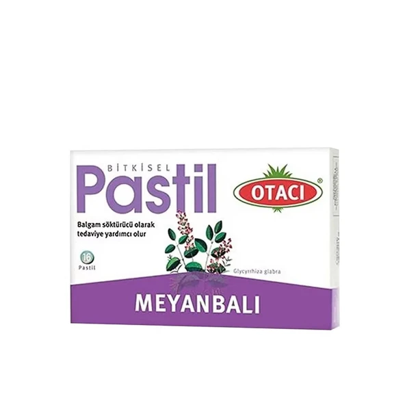 Otacı Meyanbalı Pastil 16 Adet ürün görseli 1