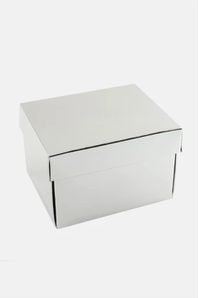 Gümüş Renkli Kapaklı Saat Kutusu - Resim 3