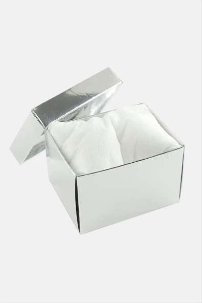 Gümüş Renkli Kapaklı Saat Kutusu ürün görseli