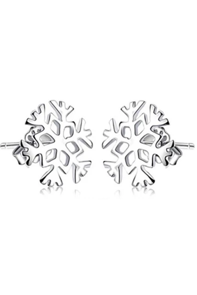 925 Ayar Kar Tanesi Gümüş Küpe ürün görseli