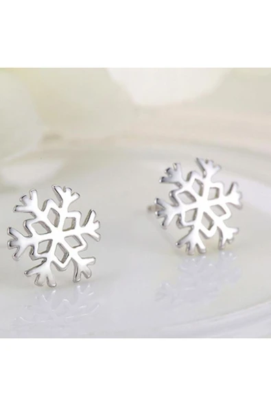 925 Ayar Kar Tanesi Gümüş Küpe - Resim 2