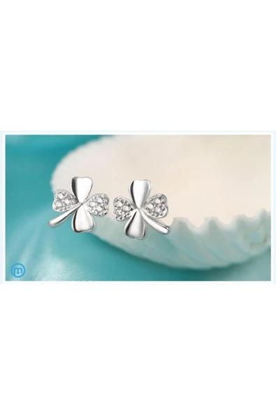 925 Ayar Taşlı 4 Yaprak Gümüş Bayan Yonca Küpe - Resim 8