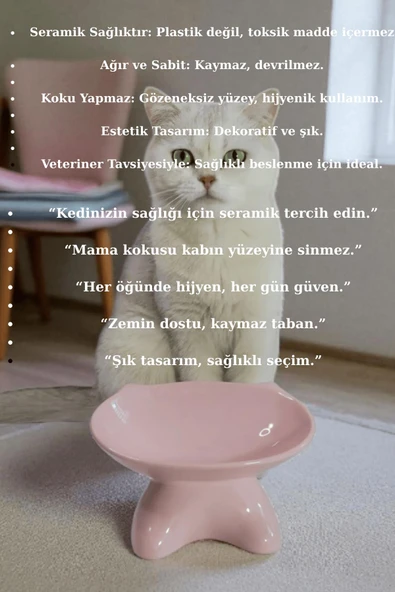 Özel Tasarım Lüks Seramik Kedi Mama Kabı Pempe - Resim 2