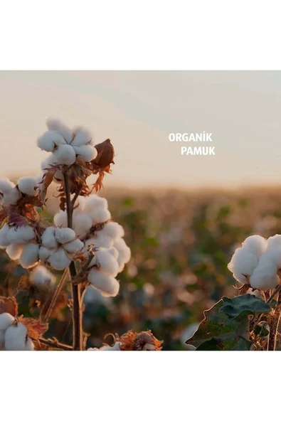 İPEK 70'li Makyaj Pamuğu x4 - Resim 6