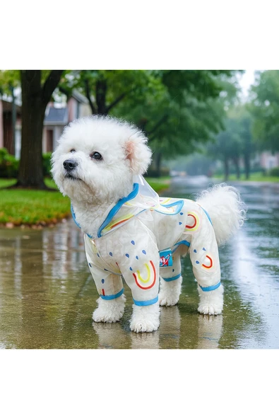 CAZEO Köpek Yağmurluğu – Şeffaf Görünümlü - Kapüşonlu - Kenarları Mavi Şeritli - Su Geçirmez ürün görseli