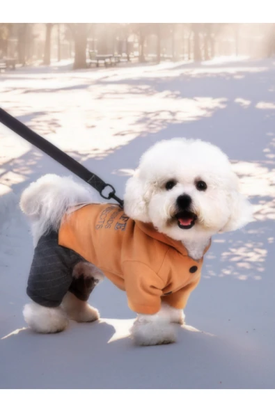 CAZEO Köpek Kıyafeti - Kapüşonlu Kışlık Tulum - Turuncu - M Beden - Resim 3