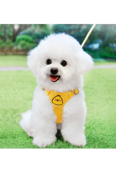 CAZEO Çizgi Karakterli Pet Göğüs Tasması & Kayış | M - L Beden | Mix Renk - Resim 3