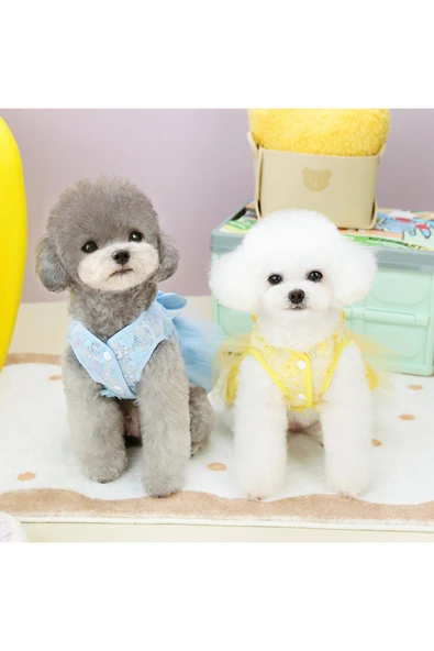 CAZEO Köpek Elbisesi - Pul İşlemeli - Tül Etekli - Resim 3