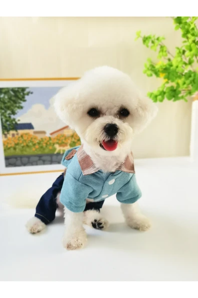 CAZEO Köpek Sonbahar Kış Kot Pantolonlu Tulum – Mavi – S Beden - Resim 5