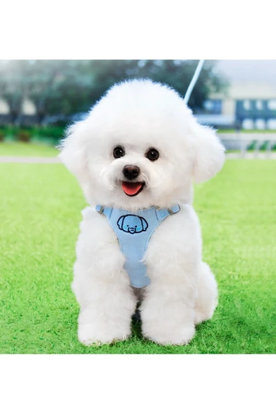 CAZEO Çizgi Karakterli Pet Göğüs Tasması & Kayış | M - L Beden | Mix Renk - Resim 4