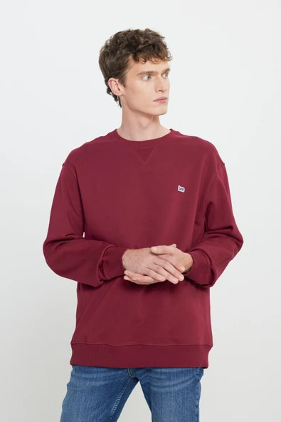 Regular Fit Bisiklet Yaka İçi Polarlı Sweatshirt Lee ürün görseli
