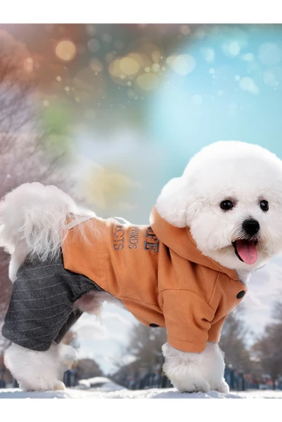 CAZEO Köpek Kıyafeti - Kapüşonlu Kışlık Tulum - Turuncu - M Beden - Resim 4