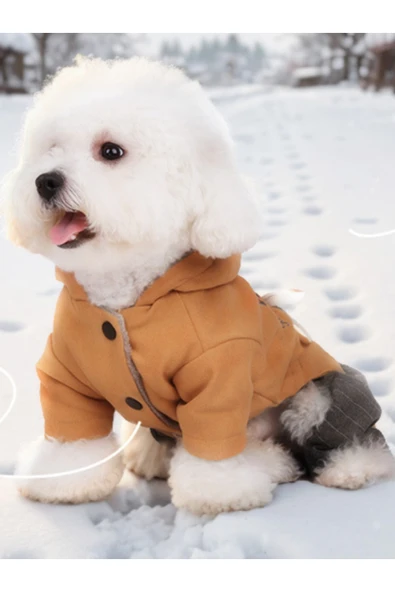CAZEO Köpek Kıyafeti - Kapüşonlu Kışlık Tulum - Turuncu - M Beden - Resim 6